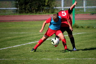 星空app官网下载-中国篮球职业联赛俱乐部运营模式创新及管理经验分享,篮球俱乐部运营与管理